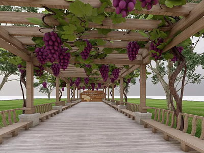 Wooden Pergola Walkway With Purple Grapes Benches Green Grass And Trees 3d model