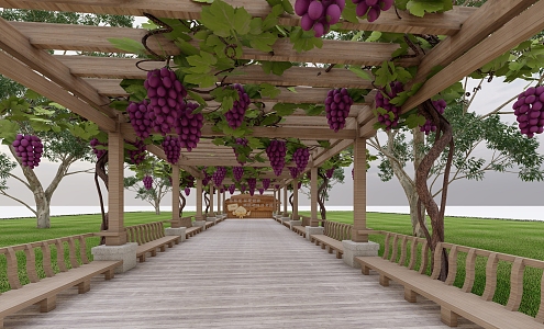 Grape Corridor Grape Flower Rack 3d model