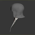 Medieval Silver Metal Helmet Displayed On Stand With Dark Background Historical Weaponry