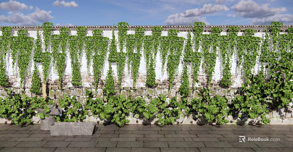 Vines Covering White And Stone Wall With Green Leaves Under Blue Sky And Clouds 3d model 