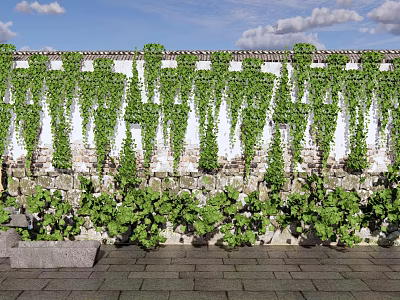 Vines Covering White And Stone Wall With Green Leaves Under Blue Sky And Clouds 3d model