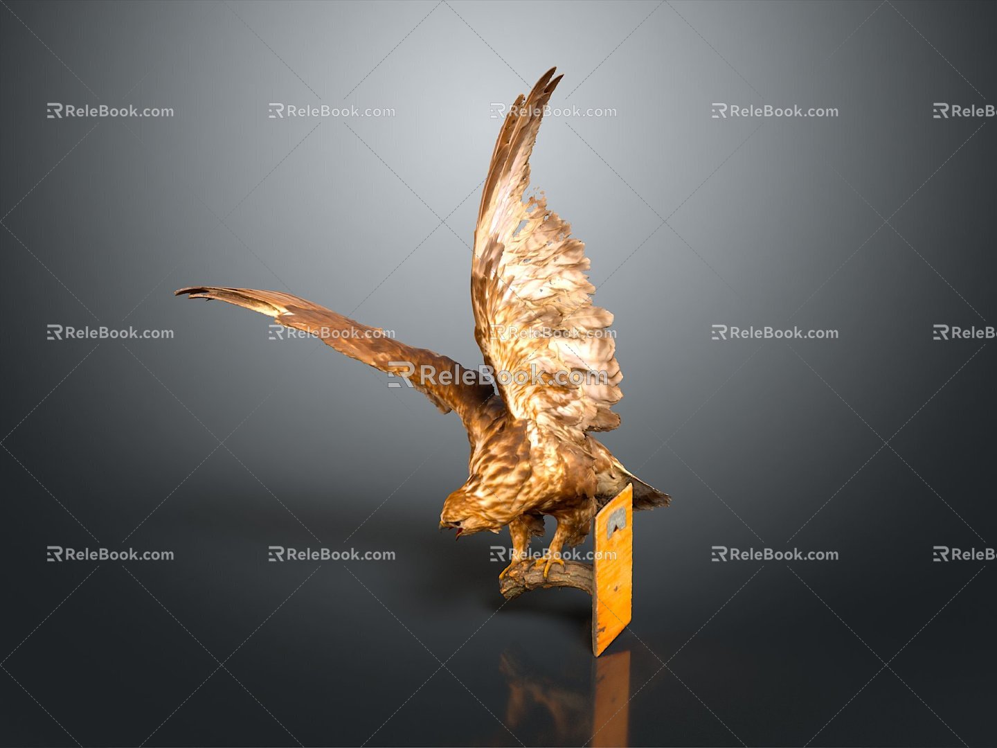 Eagle Large Eagle Owl Raptor Falcon Bird Bird Bird Animal Game Animal 3d model