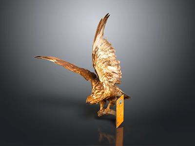 Golden Eagle Sculpture In Flight Pose With Spread Wings On Black Base 3d model
