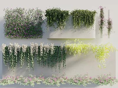 Climbing And Hanging Vines With Green Leaves Purple White Flowers For Decoration 3d model
