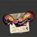 Human Brain Anatomical Model With Colorful Vascular Structure And Stable Base Stand 3d model
