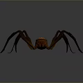 Detailed Brown Spider With Carved Texture Body And Long Legs Isolated On Dark Background