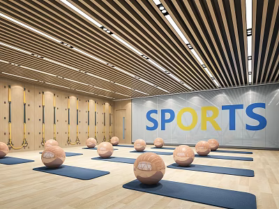 Indoor Sports Fitness Studio With Yoga Balls Mats And Wooden Ceiling Design Setup 3d model