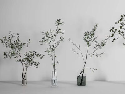 Minimalist Three Glass Vases with Green Leaf Branches on White Background 3d model