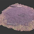 Natural Garden Miniature Design With Black Soil Moss Small Stones Green Grass And Twigs
