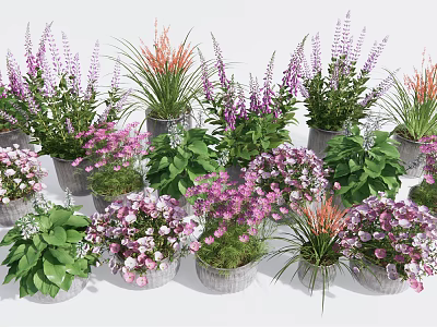 Colorful Bonsai Potted Plants With Purple Pink Flowers And Green Leaves For Home Decor 3d model