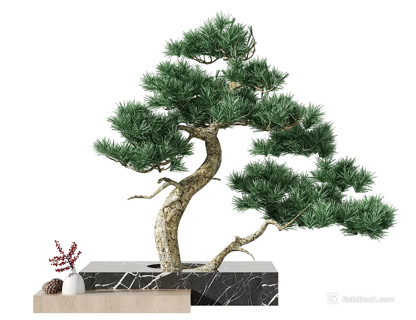Bonsai Pine Tree with Curved Trunk and Lush Green Foliage on Marble Base 3d model 