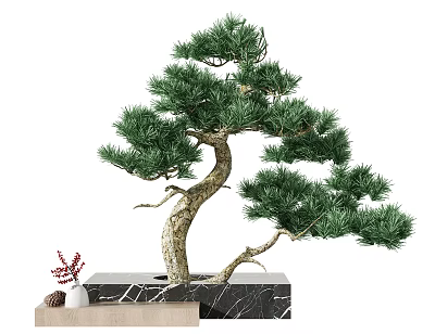 Bonsai Pine Tree with Curved Trunk and Lush Green Foliage on Marble Base 3d model
