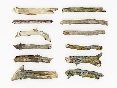 modern trunk 3d model