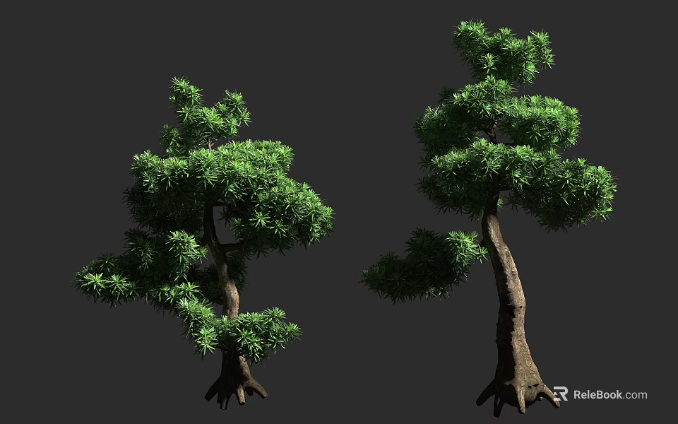 Two Arbor Trees With Lush Green Foliage And Brown Trunks With Exposed Roots 3d model 