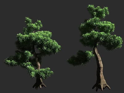 Two Arbor Trees With Lush Green Foliage And Brown Trunks With Exposed Roots 3d model