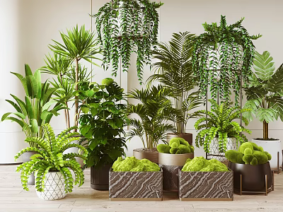 Various Indoor Bonsai Potted Plants With Hanging Greenery And Stylish Pots 3d model
