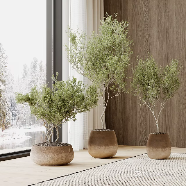 Bonsai Potted Plants With Lush Green Foliage By Window Wooden Wall And Snowy Outside View 3d model 
