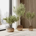 Bonsai Potted Plants With Lush Green Foliage By Window Wooden Wall And Snowy Outside View