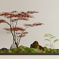 Delicate Miniature Garden Arrangement With Red Leaf Tree Rocks Green Moss And Small Plants