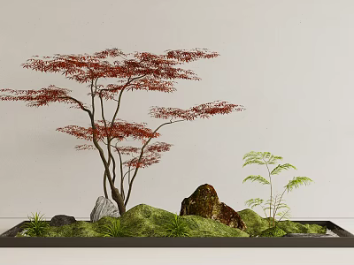 Delicate Miniature Garden Arrangement With Red Leaf Tree Rocks Green Moss And Small Plants 3d model