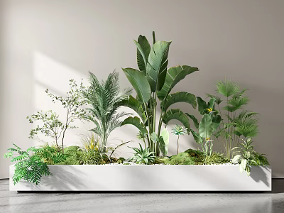 Stylish Bonsai Potted Plants For Modern Indoor Decor With Various Green Plants In White Container 3d model
