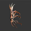 Vibrant Red King Crab With Long Legs And Orange Shell On Gray Background 3d model