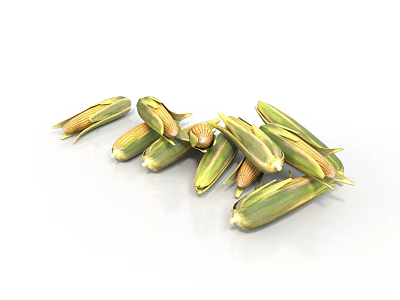 Fresh Corn Cobs in Green Husks Pile on White Background 3d model