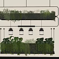 Stylish Indoor Hanging Basket Plants With Multiple Layers Metal Frame Green Foliage