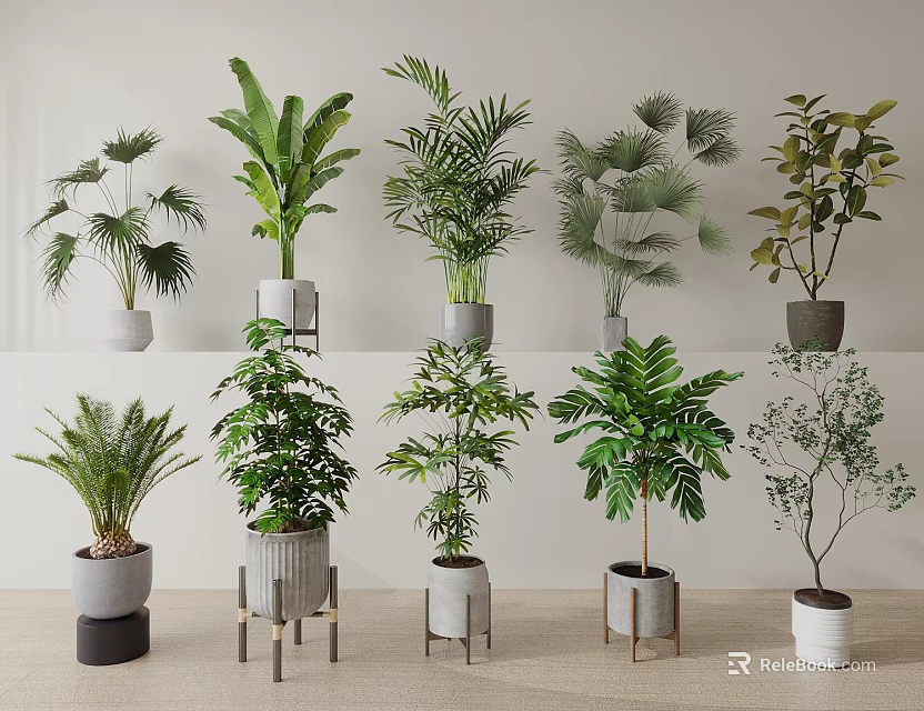 Various Types of Indoor Hanging Basket Plants With Green Leaves And Stylish Pots 3d model 