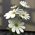 Floral Display With White Daisies In Vase On Dark Wooden Tabletop With Light Shadow Effects
