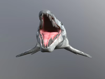 Realistic 3D Shark Model With Open Mouth And Sharp Teeth 3d model