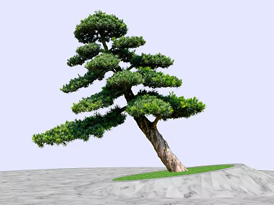 Unique Shaped Arbor Tree With Curved Trunk And Lush Green Foliage On Grassy Mound 3d model