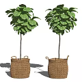 Two Green Bonsai Potted Plants in Wicker Baskets with Handles Decoration