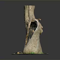 Decorative Tree Stump Figurine With Central Hole And Green Grass Base Design