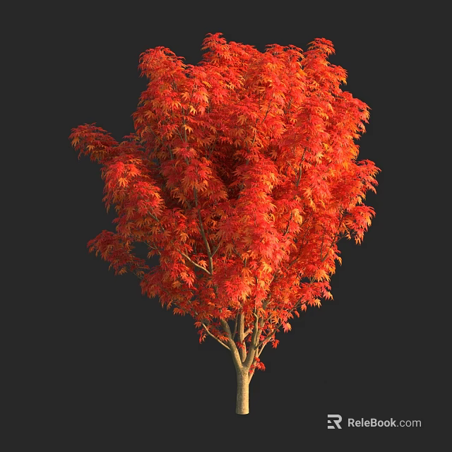 Vibrant Red Leaf Arbor With Lush Autumn Foliage Against Black Background 3d model 