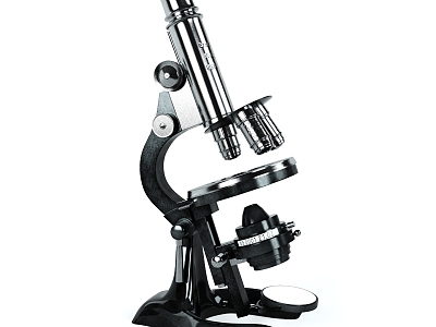 Modern microscope ornaments model