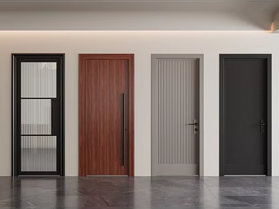 Different Styles Of Hinged Doors For Modern Interior With Wooden And Metal Frames 3d model
