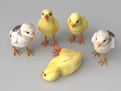 Chick 3d model Chick 3d model