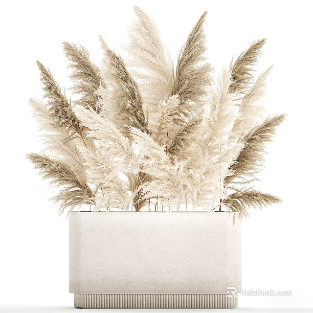 Decorative White Vase With White And Light Brown Pampas Grass Arrangement 3d model 
