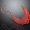 Red Curved Organ Model With Hair Components Displaying Anatomical Structure Details