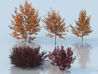 Three Orange Leaf Trees and Two Dark Red Shrubs in 3D Display Scene 3d model