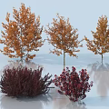 Three Orange Leaf Trees and Two Dark Red Shrubs in 3D Display Scene 3d model
