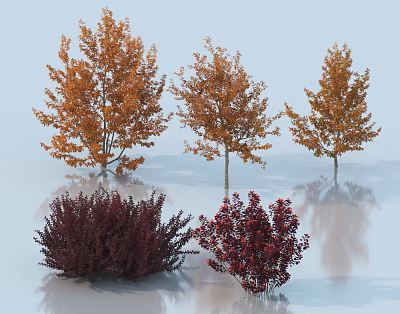 Three Orange Leaf Trees and Two Dark Red Shrubs in 3D Display Scene 3d model