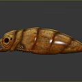 Fierce Orange Shell like Game and Movie Character with Large Mouth and Big Eyes