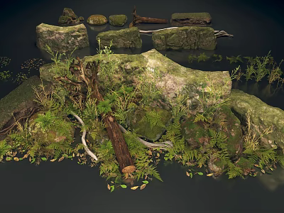 Natural Scenery Featuring Moss Covered Rocks Wood Logs And Green Ferns 3d model