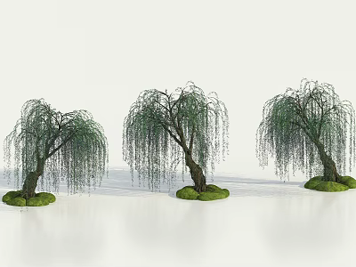 Three Graceful Weeping Willow Trees With Green Leaves And Grass Base 3d model