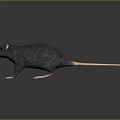 Realistic 3D Gray Rat Model With Pink Paws And Tail On Dark Background 3d model
