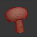 Whole Fresh Edible White Mushroom with Smooth Cap and Firm Stem