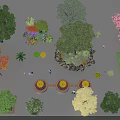 Diverse Ornamental Trees with Colorful Foliage in Garden Landscape and Mixed Plants