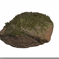 Natural Stone Decorative Piece Covered With Lush Green Moss On Surface Texture
